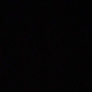 Meet your Posher, Will